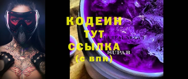 прущий лед Новозыбков