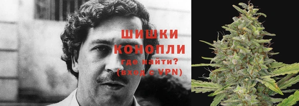 метадон Новодвинск