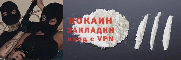 прущий лед Новозыбков