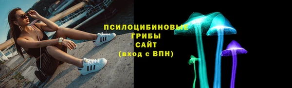 прущий лед Новозыбков