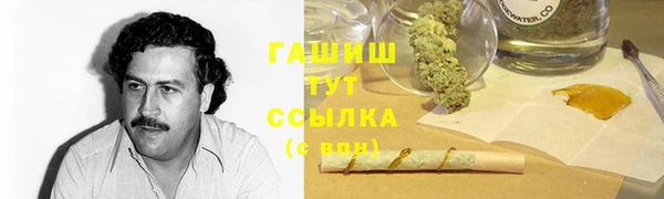 прущий лед Новозыбков