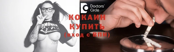 прущий лед Новозыбков