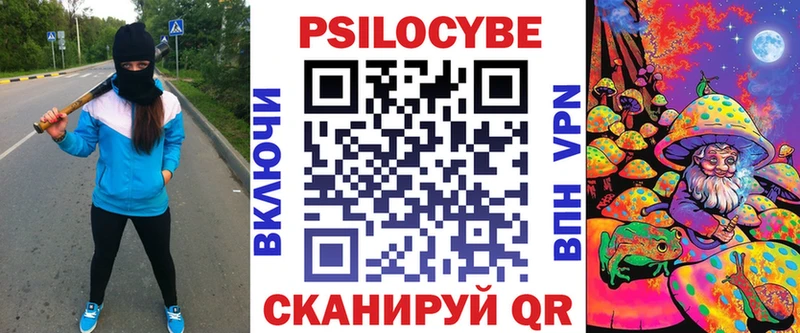 Галлюциногенные грибы Psilocybe  Купить закладки  Катав-Ивановск 